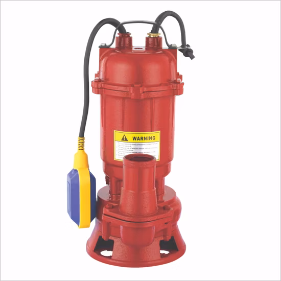 Stainless Steel Submersible Qdx Irrigation Solar Electric Deep Well Submersible Jet Drainage Pump with Float Switch for Home Clean Dirty Sewage Water Pump