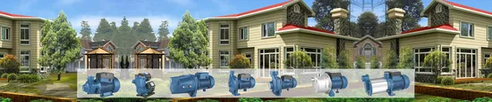 Factory Supply OEM High