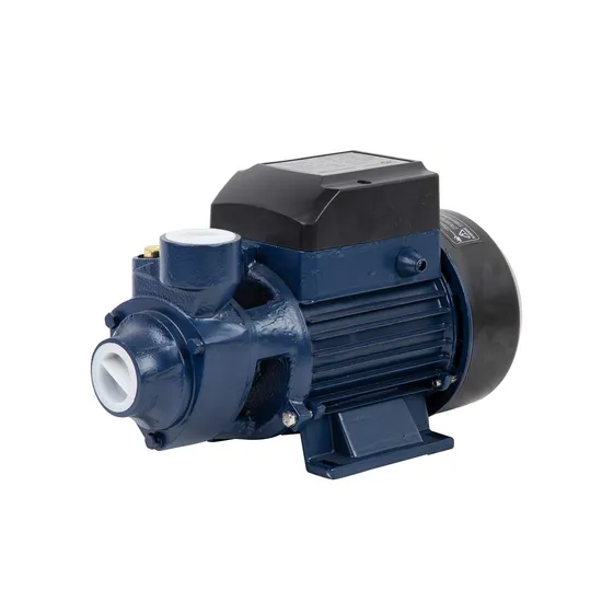 Robust 3/4HP Jsw 60 Js 125 Garden Jet Pump for Home Use 