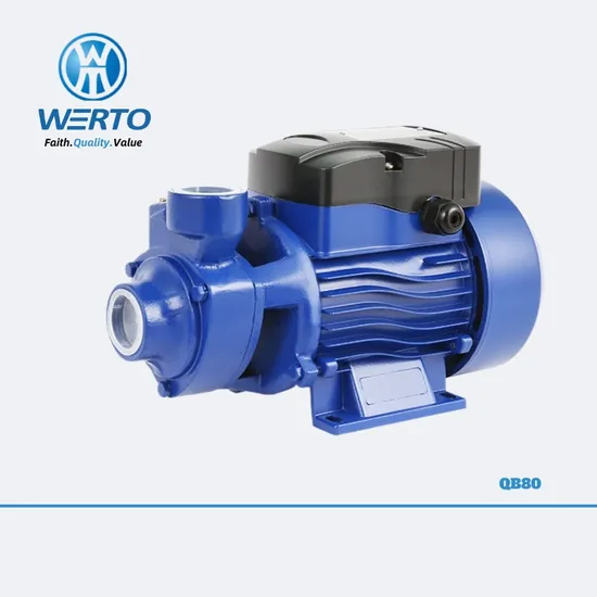 Werto Qb80 Durable Cast Iron Electric Motor Peripheral Water Pump 