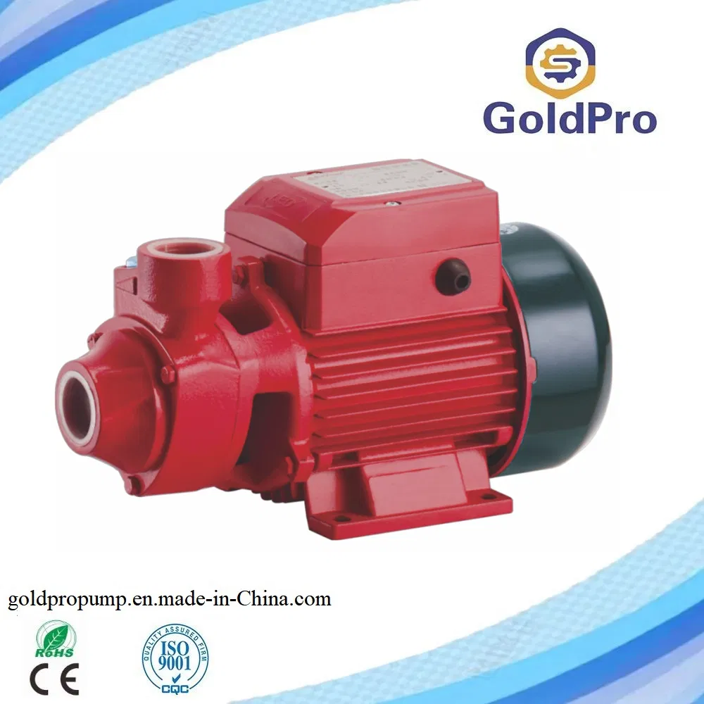 Iron Cast Brass Impeller Electric Peripheral Vortex Micro Auto Surface Water Pump Graden Pump for Agriculture Irrigation (QB60)