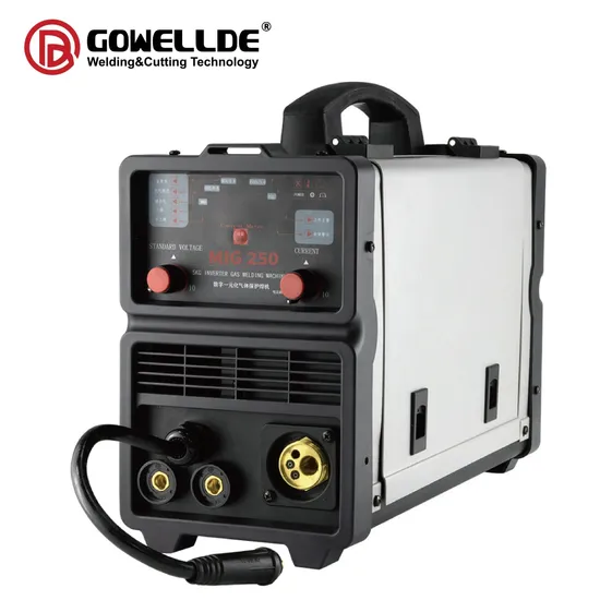 Portable Inverter 5kg Spool Gasless MIG Gas MIG Arc TIG Welding Machine 