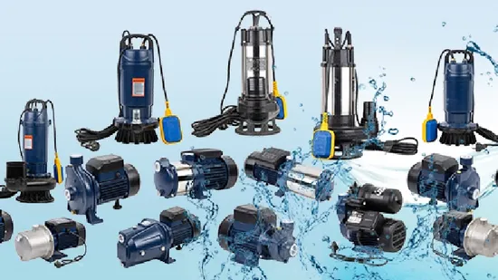 Powerful Jsw 60 Js 125 10m Garden Jet Pump 60Hz 1/2HP 
